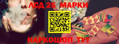 шишки Славгород