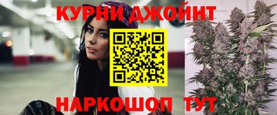 шишки Славгород