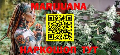 шишки Славгород