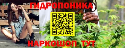 ешки Сланцы