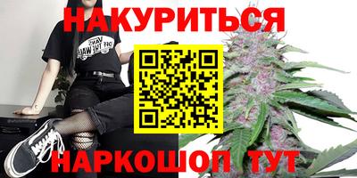 шишки Славгород