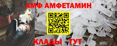 шишки Славгород