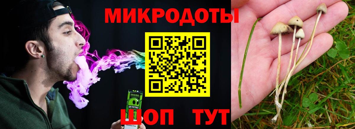 Галлюциногенные грибы мицелий Аргун