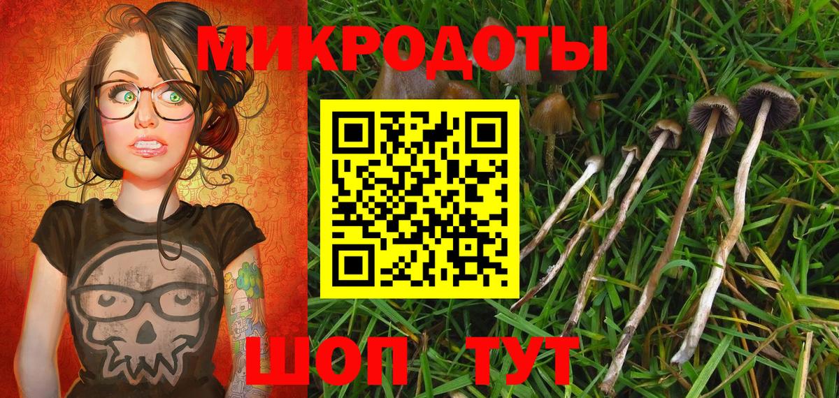 Псилоцибиновые грибы Cubensis  где продают наркотики  Аргун  Вход с VPN 