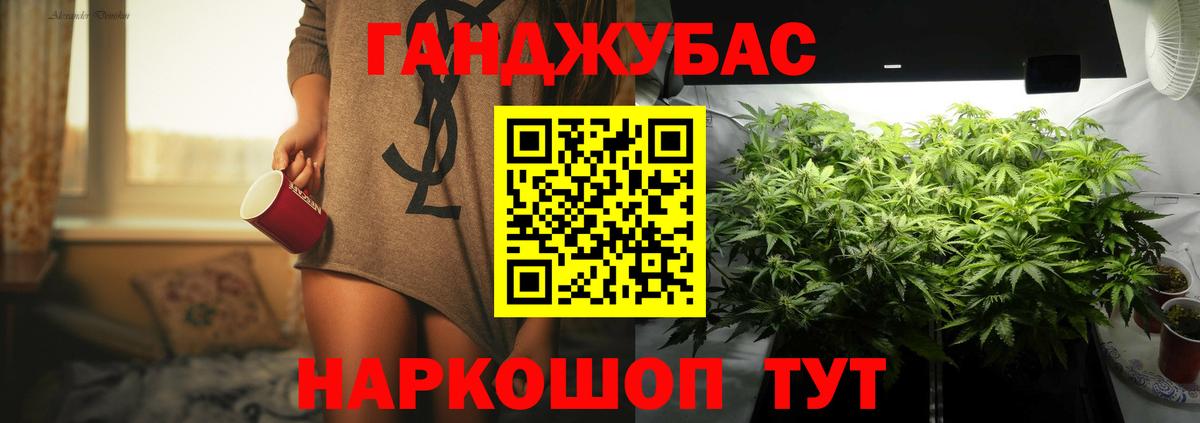 Шишки марихуана семена Аргун